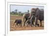 Kenya, Kajiado County, Amboseli National Park. a Family of African Elephants on the Move.-Nigel Pavitt-Framed Photographic Print