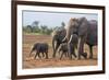 Kenya, Kajiado County, Amboseli National Park. a Family of African Elephants on the Move.-Nigel Pavitt-Framed Photographic Print