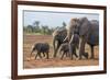 Kenya, Kajiado County, Amboseli National Park. a Family of African Elephants on the Move.-Nigel Pavitt-Framed Photographic Print