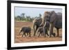 Kenya, Kajiado County, Amboseli National Park. a Family of African Elephants on the Move.-Nigel Pavitt-Framed Photographic Print