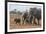 Kenya, Kajiado County, Amboseli National Park. a Family of African Elephants on the Move.-Nigel Pavitt-Framed Photographic Print