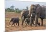 Kenya, Kajiado County, Amboseli National Park. a Family of African Elephants on the Move.-Nigel Pavitt-Mounted Photographic Print