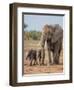 Kenya, Kajiado County, Amboseli National Park. a Female African Elephant with Two Small Babies.-Nigel Pavitt-Framed Photographic Print