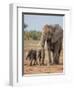 Kenya, Kajiado County, Amboseli National Park. a Female African Elephant with Two Small Babies.-Nigel Pavitt-Framed Premium Photographic Print