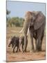 Kenya, Kajiado County, Amboseli National Park. a Female African Elephant with Two Small Babies.-Nigel Pavitt-Mounted Photographic Print