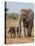 Kenya, Kajiado County, Amboseli National Park. a Female African Elephant with Two Small Babies.-Nigel Pavitt-Stretched Canvas