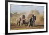 Kenya, Kajiado County, Amboseli National Park. a Herd of African Elephants on the Move.-Nigel Pavitt-Framed Photographic Print