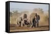 Kenya, Kajiado County, Amboseli National Park. a Herd of African Elephants on the Move.-Nigel Pavitt-Framed Stretched Canvas