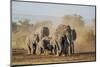 Kenya, Kajiado County, Amboseli National Park. a Herd of African Elephants on the Move.-Nigel Pavitt-Mounted Photographic Print