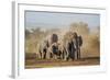 Kenya, Kajiado County, Amboseli National Park. a Herd of African Elephants on the Move.-Nigel Pavitt-Framed Photographic Print