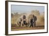 Kenya, Kajiado County, Amboseli National Park. a Herd of African Elephants on the Move.-Nigel Pavitt-Framed Photographic Print