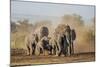 Kenya, Kajiado County, Amboseli National Park. a Herd of African Elephants on the Move.-Nigel Pavitt-Mounted Photographic Print