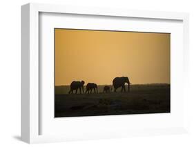 Kenya, Kajiado County, Amboseli National Park, African Elephant-Reiner Harscher-Framed Photographic Print