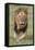 Kenya, Laikipia County, Laikipia. a Black-Maned Lion.-Nigel Pavitt-Framed Stretched Canvas