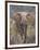 Kenya, Laikipia County-Nigel Pavitt-Framed Photographic Print