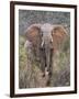 Kenya, Laikipia County-Nigel Pavitt-Framed Photographic Print