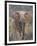 Kenya, Laikipia County-Nigel Pavitt-Framed Photographic Print