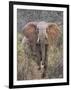 Kenya, Laikipia County-Nigel Pavitt-Framed Photographic Print