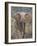 Kenya, Laikipia County-Nigel Pavitt-Framed Photographic Print