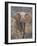 Kenya, Laikipia County-Nigel Pavitt-Framed Photographic Print