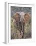 Kenya, Laikipia County-Nigel Pavitt-Framed Photographic Print