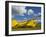 Kenya, Laikipia, Lewa Downs-John Warburton-lee-Framed Photographic Print