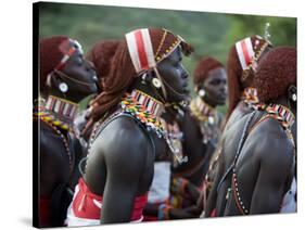 Kenya, Laikipia, Ol Malo-John Warburton-lee-Stretched Canvas