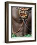 Kenya, Laikipia, Ol Malo-John Warburton-lee-Framed Photographic Print