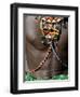 Kenya, Laikipia, Ol Malo-John Warburton-lee-Framed Photographic Print