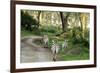 Kenya, Lake Nakuru National Park, Rear View on 3 Zebras at Sunset-Anthony Asael-Framed Photographic Print