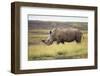 Kenya, Lake Nakuru, White Rhinoceros (Ceratotherium Simum)-Adam Jones-Framed Photographic Print