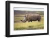 Kenya, Lake Nakuru, White Rhinoceros (Ceratotherium Simum)-Adam Jones-Framed Photographic Print