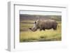 Kenya, Lake Nakuru, White Rhinoceros (Ceratotherium Simum)-Adam Jones-Framed Photographic Print