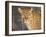 Kenya, Leopard, head shot-George Theodore-Framed Photographic Print