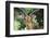 Kenya, Maasai Mara, Impala Looking at Camera-Kent Foster-Framed Photographic Print