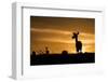 Kenya, Maasai Mara, Mara Triangle, Mara River Basin, Impalas at Sunset-Alison Jones-Framed Photographic Print