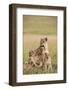 Kenya, Maasai Mara, Mara Triangle, Mara River Basin, Lioness with Cubs-Alison Jones-Framed Photographic Print