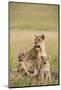 Kenya, Maasai Mara, Mara Triangle, Mara River Basin, Lioness with Cubs-Alison Jones-Mounted Photographic Print