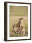 Kenya, Maasai Mara, Mara Triangle, Mara River Basin, Lioness with Cubs-Alison Jones-Framed Photographic Print