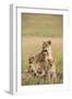 Kenya, Maasai Mara, Mara Triangle, Mara River Basin, Lioness with Cubs-Alison Jones-Framed Photographic Print