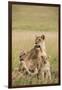 Kenya, Maasai Mara, Mara Triangle, Mara River Basin, Lioness with Cubs-Alison Jones-Framed Premium Photographic Print