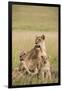 Kenya, Maasai Mara, Mara Triangle, Mara River Basin, Lioness with Cubs-Alison Jones-Framed Premium Photographic Print