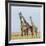 Kenya, Maasai Mara, Mara Triangle, Mara River Basin, Maasai Giraffe-Alison Jones-Framed Photographic Print