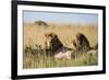 Kenya, Maasai Mara, Mara Triangle, Mara River Basin, Two Lions-Alison Jones-Framed Photographic Print