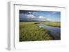 Kenya, Maasai Mara, Mara Triangle, Wetland Called 'Governor's Swamp'-Alison Jones-Framed Photographic Print