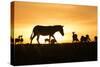 Kenya, Maasai Mara, Mara Triangle, Zebras and Impala at Sunset-Alison Jones-Stretched Canvas