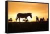 Kenya, Maasai Mara, Mara Triangle, Zebras and Impala at Sunset-Alison Jones-Framed Stretched Canvas