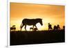 Kenya, Maasai Mara, Mara Triangle, Zebras and Impala at Sunset-Alison Jones-Framed Photographic Print