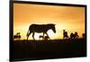 Kenya, Maasai Mara, Mara Triangle, Zebras and Impala at Sunset-Alison Jones-Framed Photographic Print