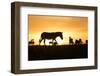 Kenya, Maasai Mara, Mara Triangle, Zebras and Impala at Sunset-Alison Jones-Framed Photographic Print